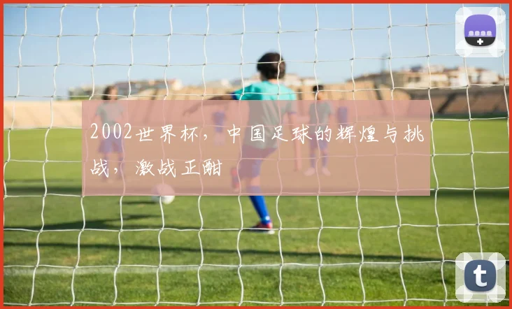 2002世界杯，中国足球的辉煌与挑战，激战正酣