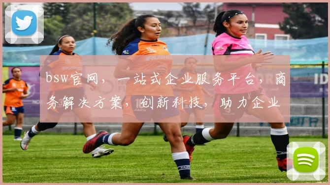 bsw官网，一站式企业服务平台，商务解决方案，创新科技，助力企业腾飞，三重优势，值得信赖