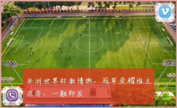非洲世界杯激情燃，冠军荣耀谁主沉浮，一触即发