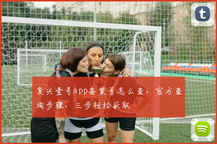 复兴壹号app备案号怎么查，官方查询步骤，三步轻松获取