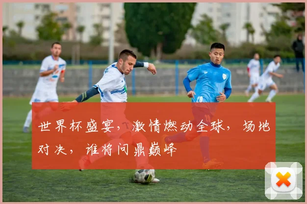 世界杯盛宴，激情燃动全球，场地对决，谁将问鼎巅峰