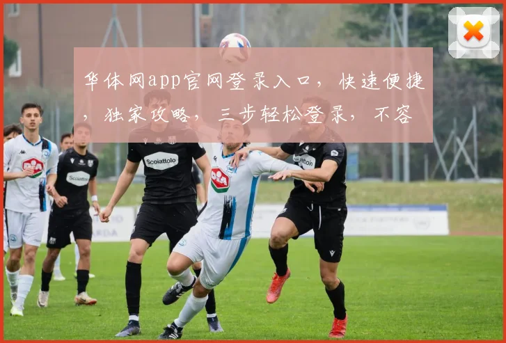 华体网app官网登录入口，快速便捷，独家攻略，三步轻松登录，不容错过，体验非凡
