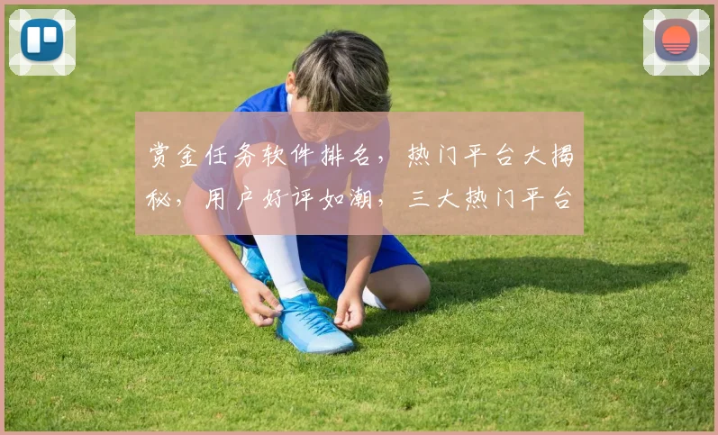 赏金任务软件排名，热门平台大揭秘，用户好评如潮，三大热门平台，你选对了吗